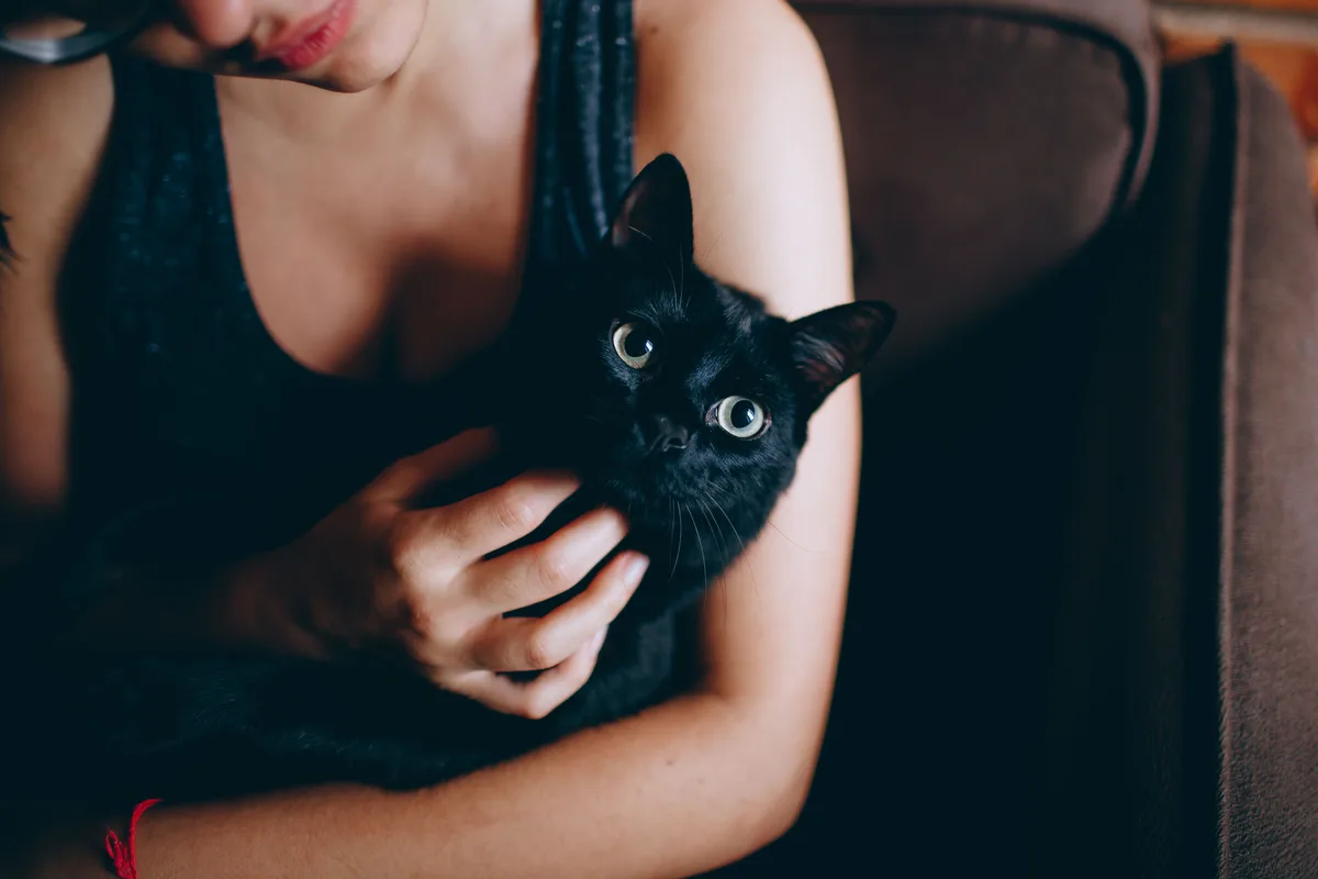 Czy koty mają uczucia? Co wiemy o emocjach kotów