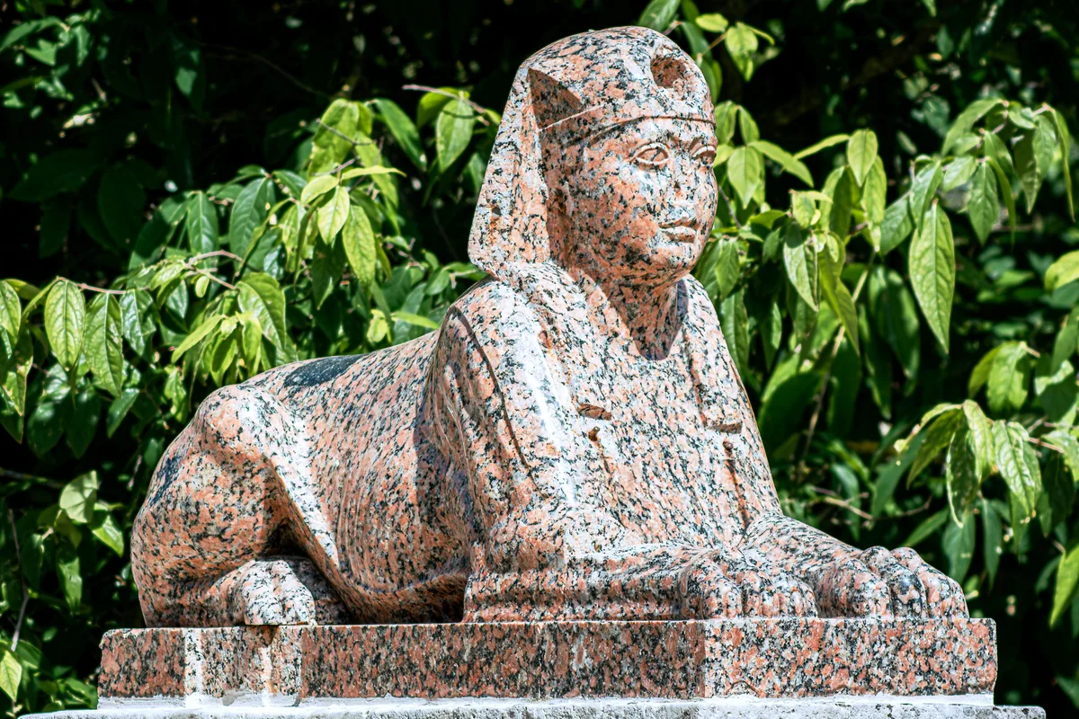 Historia udomowienia kota: od dzikiego żbika do domu